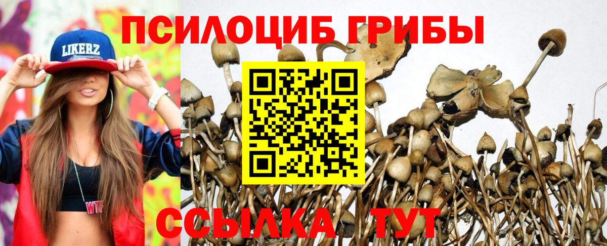 Галлюциногенные грибы прущие грибы Острогожск