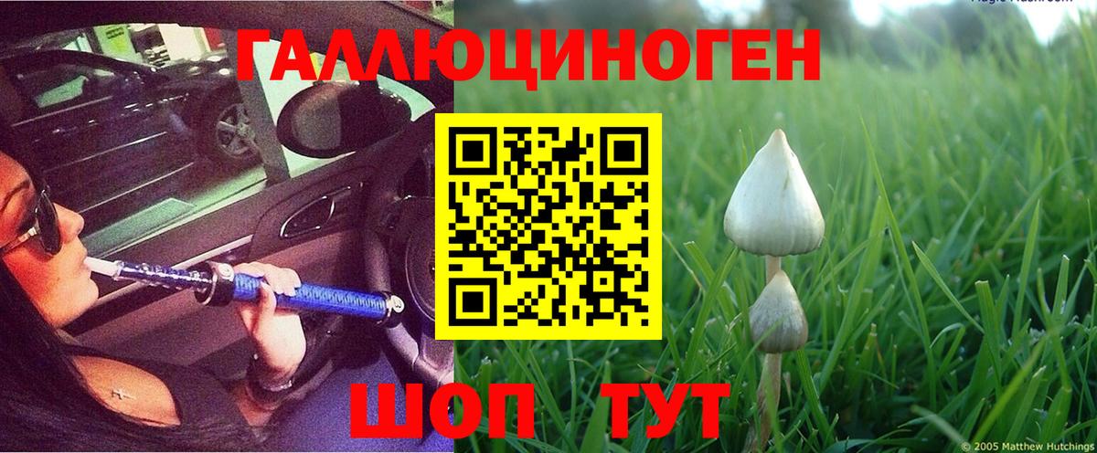 Острогожск  Галлюциногенные грибы Psilocybine cubensis  Псилоцибиновые грибы мухоморы  Вход с VPN 